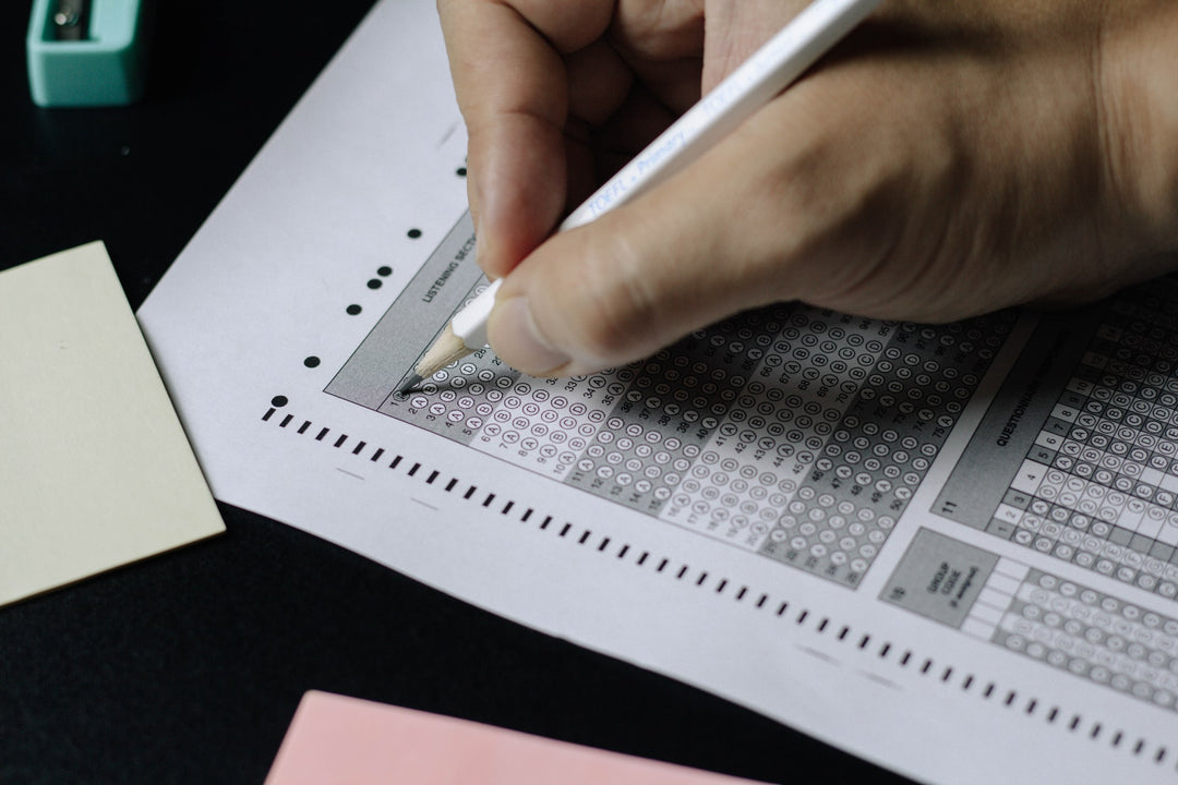 What's Next After Home Schooling?