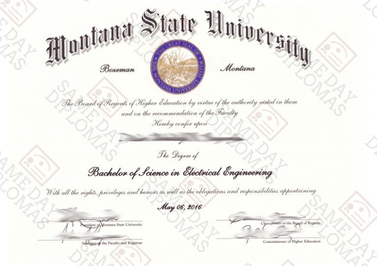 Custom diploma maker for personalized non-official display copies