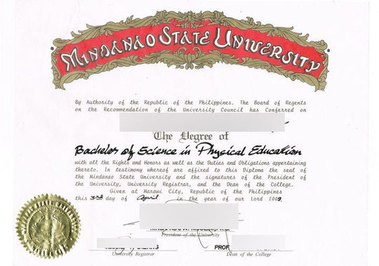 College and University Match Diploma From Philippines