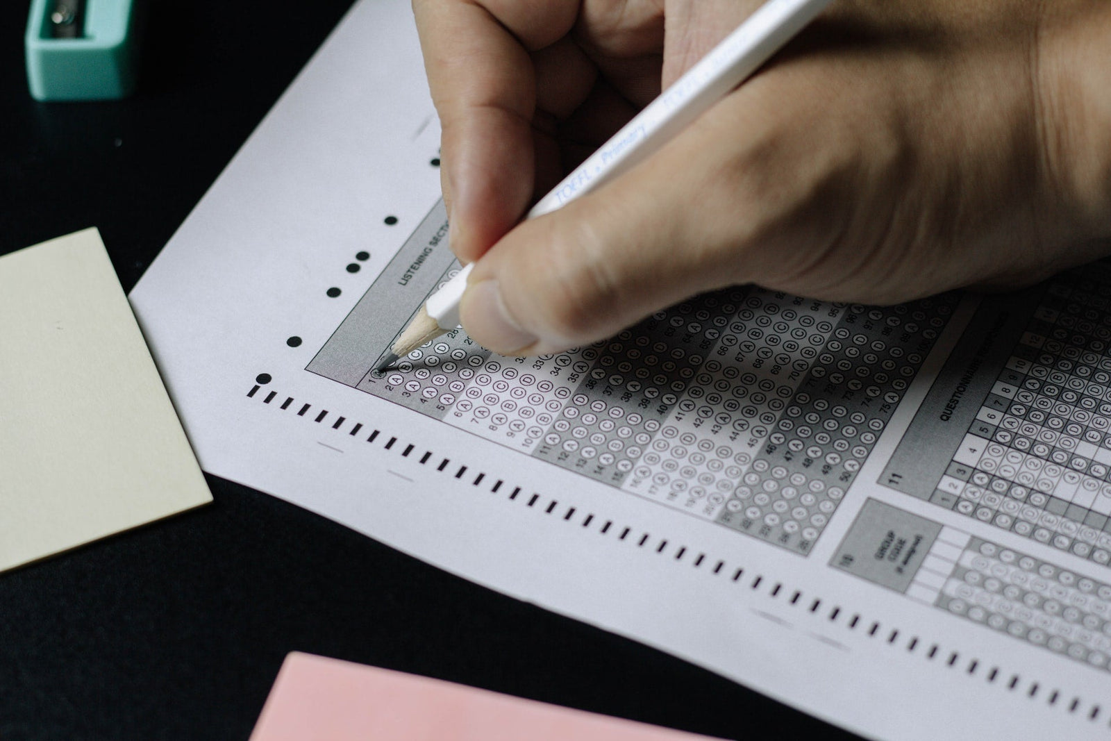What's Next After Home Schooling? - Hey Congrats!