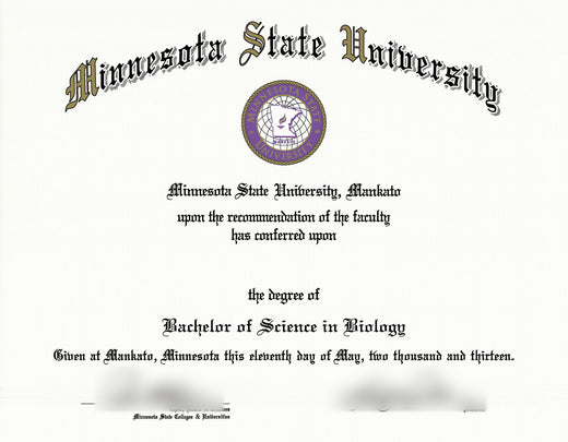 Match diploma and transcript sample 9
