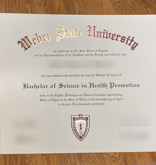 Match diploma and transcript sample 10