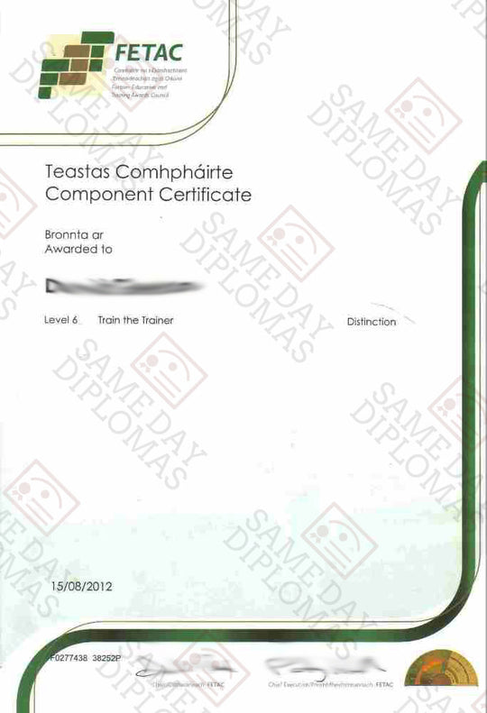 Certificate -  FETAC