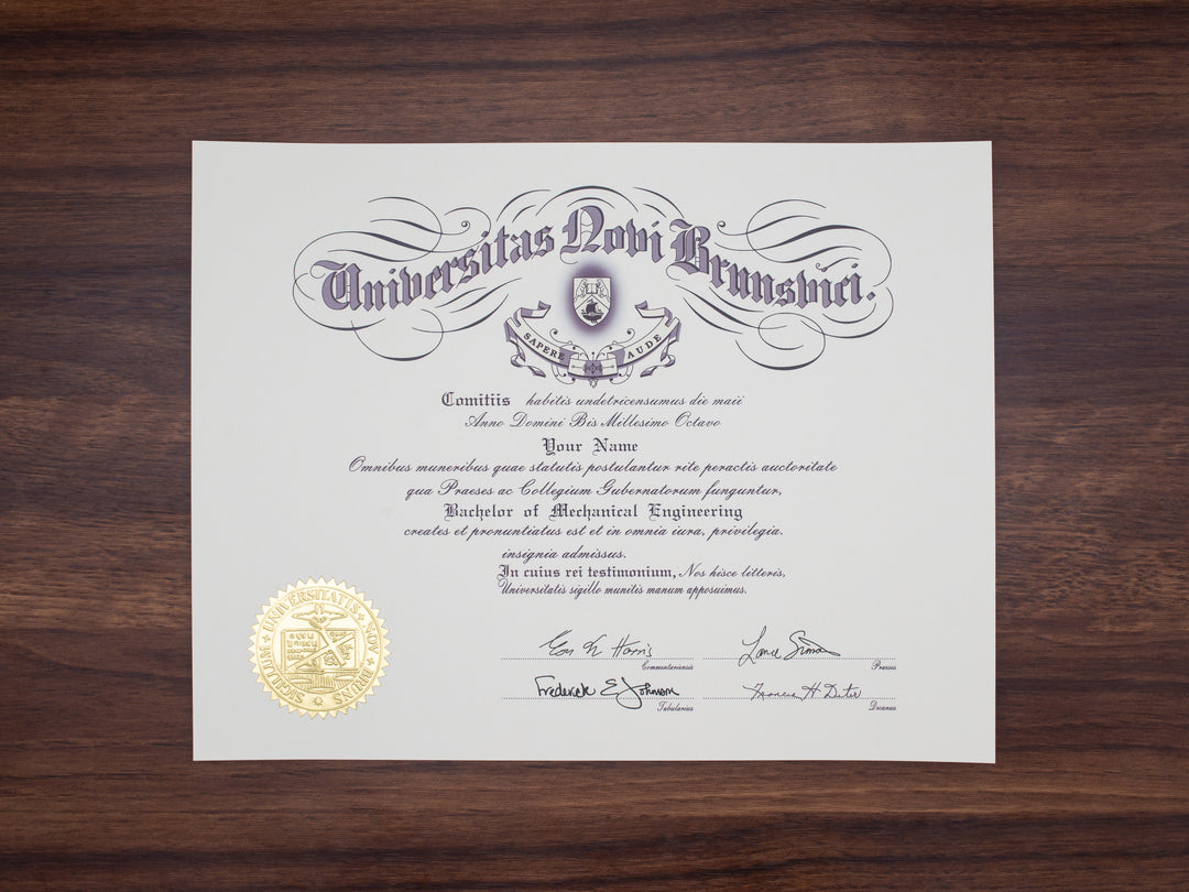 Canada College/University Match Diploma