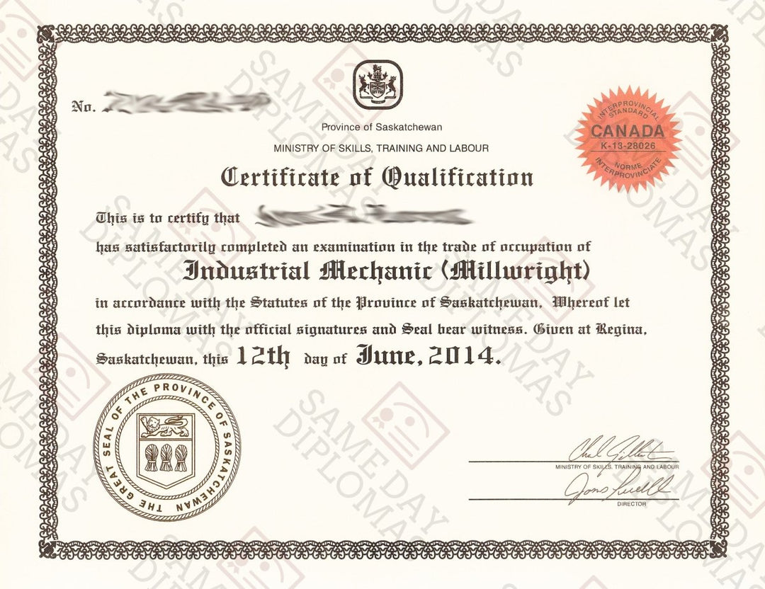 Certificate from Same Day Diplomas showcasing various global qualifications and designs.