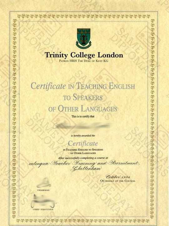 TESOL certificate from Same Day Diplomas highlighting Teaching English to Speakers of Other Languages achievement.