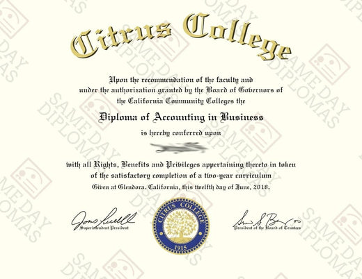 Match diploma and transcript sample 3