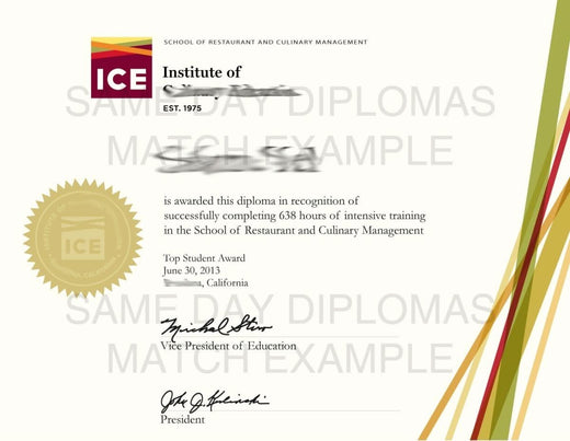 Match diploma and transcript sample 7