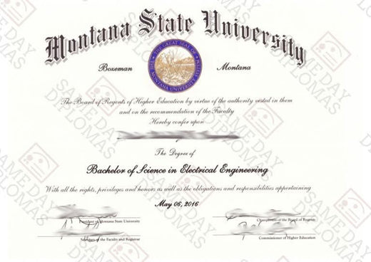 Match diploma and transcript sample 14