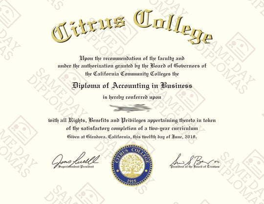College & University Prop Match USA Diploma (Copy) - Hey Congrats!