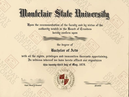Match diploma and transcript sample 15