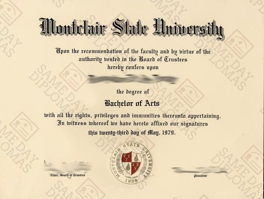 College & University Prop Match USA Diploma (Copy) - Hey Congrats!