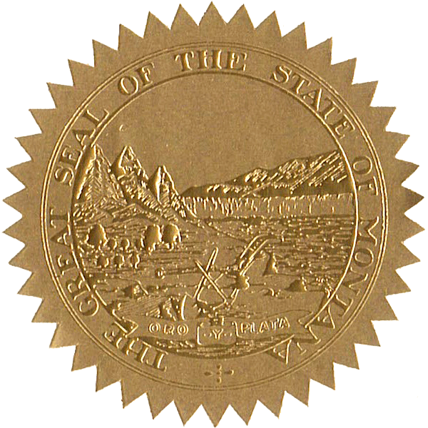 State Seals Metallic Gold - Hey Congrats!