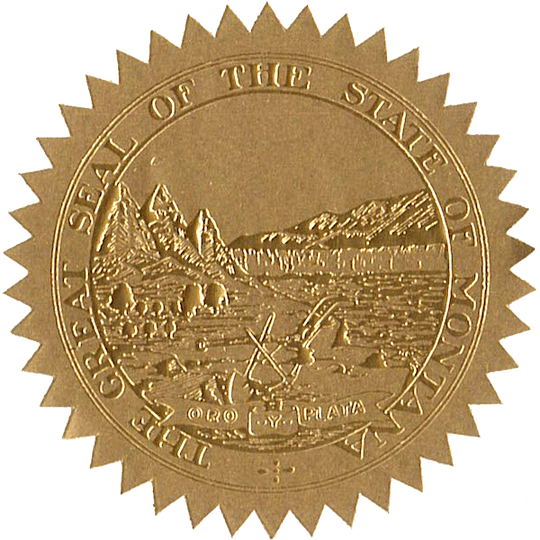 State Seals Metallic Gold - Hey Congrats!